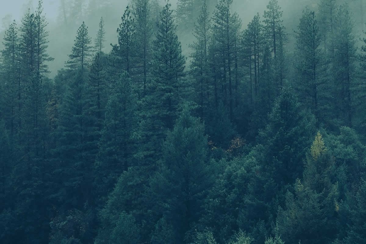 second detailed background