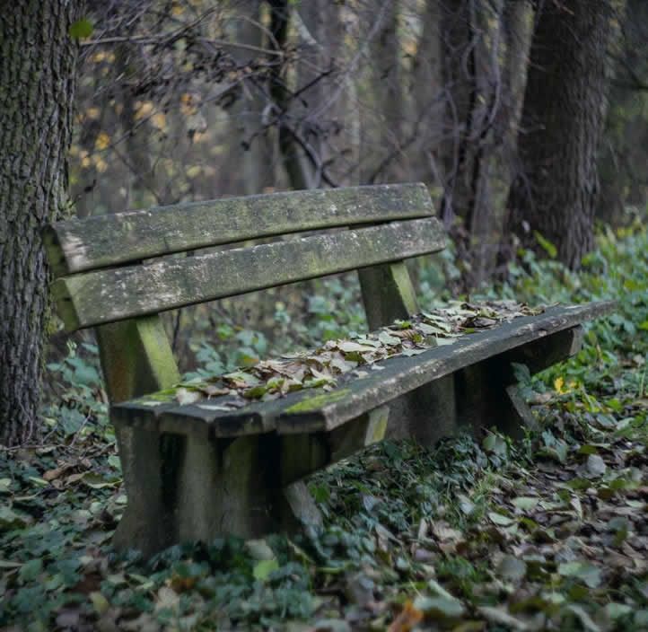 image of a project-5